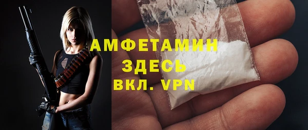 крисы Новозыбков