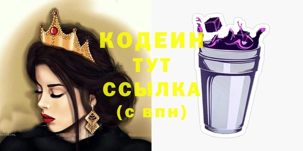 крисы Новозыбков