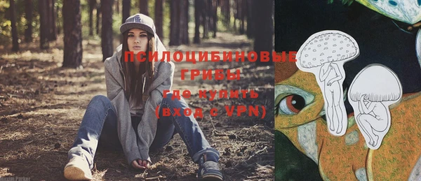 Альфа ПВП Аркадак